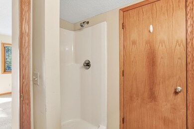 9235 E Point Douglas Ln S, Cottage Grove, MN 55016 - photo 7