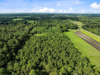 0 Oakville Rd unit 25032033, Hollywood, SC 29449 - photo 6