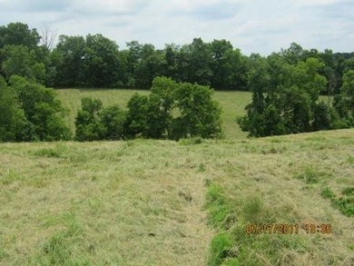 1354 Birdie Rd, Lawrenceburg, KY 40342 - photo 4