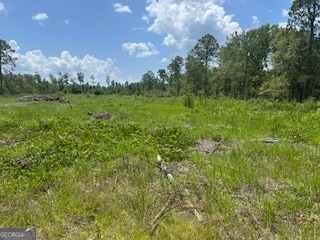87.21 AC Bay Branch Church Rd, Claxton, GA 30417 - photo 7