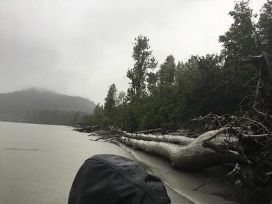 beach looking downriver from around lot
