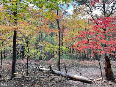 38 Gray Squirrel, Moorefield, WV 26836 - photo 3