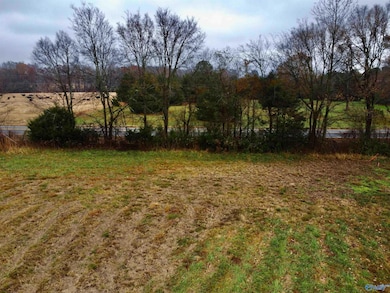 Tract 1 County Road 89, Anderson, AL 35610 - photo 5