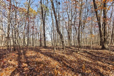 Lot 69-6