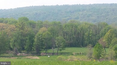 0 Williams Gap Rd, Round Hill, VA 20141 - photo 4