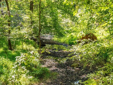 TBD Beech Forest Way, Pittsboro, NC 27312 - photo 3
