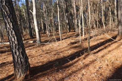 #15 State Road S-46-1102 unit 15, York, SC 29745 - photo 3