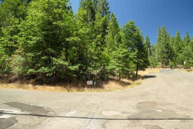 0 Speckled Rd, Pollock Pines, CA 95726 - photo 3