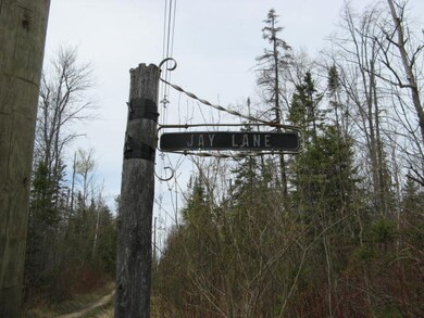 Sunday Lakefront 047