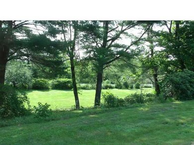 Yard/Garden.
