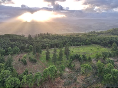 11892 Dupee Valley Rd, McMinnville, OR 97128 - photo 4