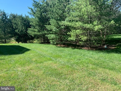 25009 Virginia Pine Ct, Chantilly, VA 20152 - photo 7