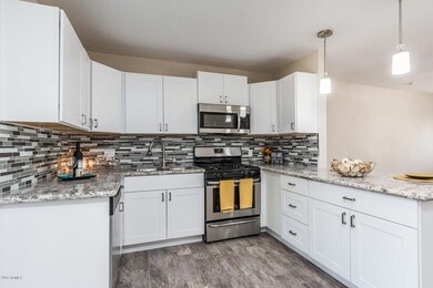 1041 E Alice Ave Phoenix AZ-large-010-24
