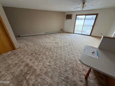 2710 Gateway Ave unit 3E, Bismarck, ND 58503 - photo 5