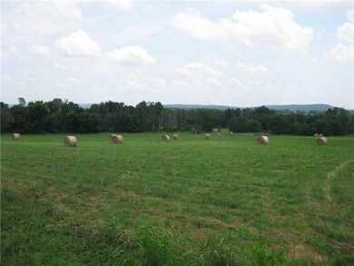 Land. From the middle of the parcel, this view is off to the southeast.