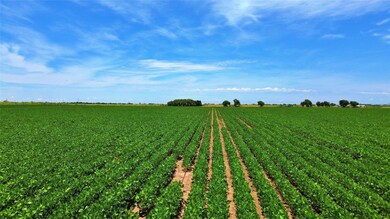 1406 County Road 307, Gainesville, TX 76240 - photo 7