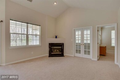 5004 Willow Branch Way unit 302, Owings Mills, MD 21117 - photo 4