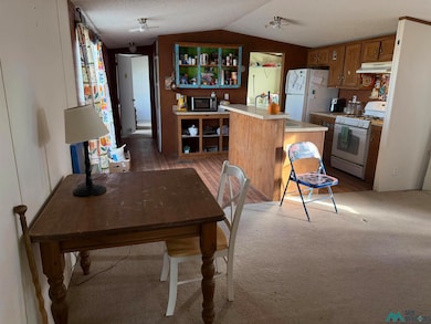1305 N Silver St, Truth Or Consequences, NM 87901 - photo 3