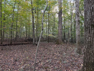 000 County Road 616, Athens, TN 37303 - photo 5