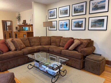 252 N Illinois St, Elmhurst, IL 60126 - photo 4