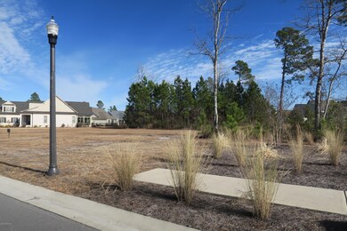 1419 Cross Water Cir, Leland, NC 28451 - photo 2