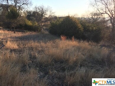 1505 Alan Arbor Ln, Copperas Cove, TX 76522 - photo 3