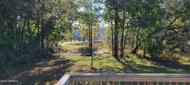 View from back deck