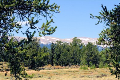 0 Willow Creek Ln unit S1018867, Fairplay, CO 80440 - photo 2