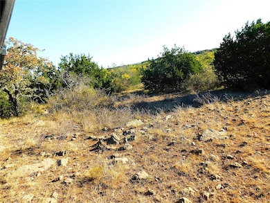 TBD County Road 131, Brownwood, TX 76801 - photo 3