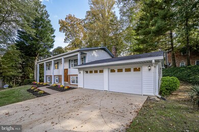 4941 Andrea Ave, Annandale, VA 22003 - photo 4