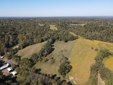 0 Buck Smith Rd unit RTC3047054, Palmyra, TN 37142 - photo 7