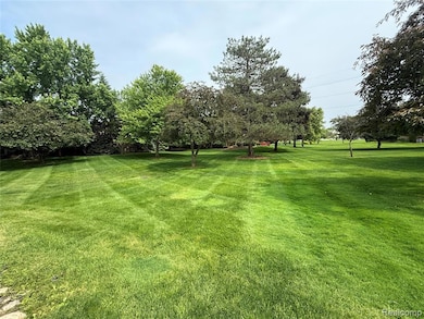 Lovely Lawn in a Park Like Setting!
