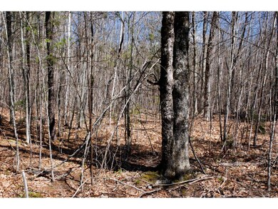 95 Grandview Rd, Conway, NH 03860 - photo 5