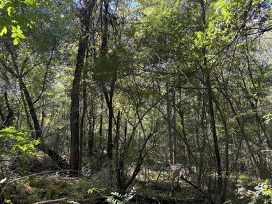 0 Bethuel Rd unit 1, Unincorporated, TN 38053 - photo 7