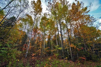 Lot 12 Winter Rd, Linneus, ME 04730 - photo 7