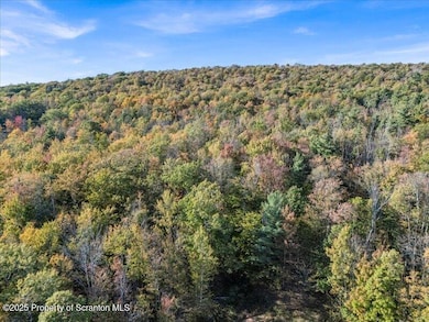 1573 Cork Hill Rd, Brackney, PA 18812 - photo 6