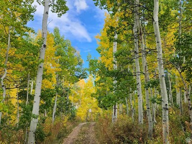 11611 Jim Bridger Dr unit H38, Huntsville, UT 84317 - photo 4