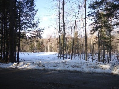 0 Parker Rd unit 201425381, Hadley, NY 12835 - photo 6