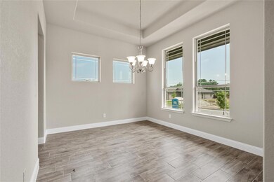 341 Clark Ave, Weatherford, TX 76085 - photo 3