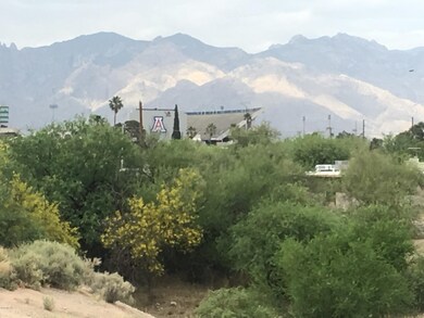 412 S Star Ave, Tucson, AZ 85719 - photo 5
