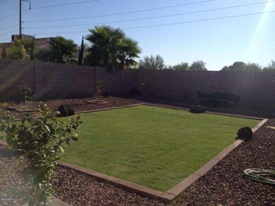 backyard 3