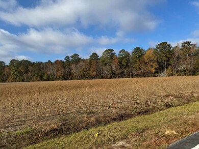 TBD Gaddy Rd, Fairmont, NC 28340 - photo 3