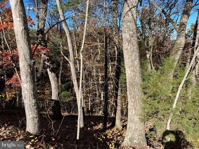 0 Hoods Point Rd, Basye, VA 22810 - photo 2