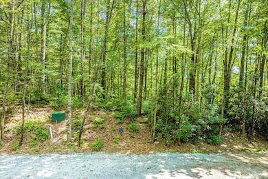 5 N Ridgeline Rd, Cullowhee, NC 28723 - photo 2