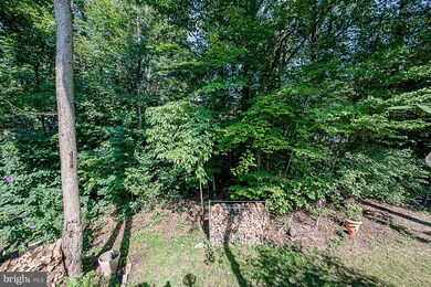 8005 Big Pool Rd, Laurel, MD 20724 - photo 6