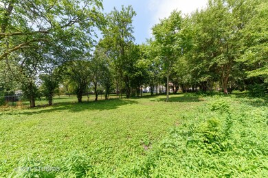 1365 Whitcomb Ave, Des Plaines, IL 60018 - photo 7