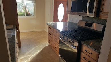 724 Snapdragon St, Encinitas, CA 92024 - photo 3