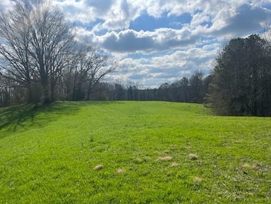 View of grassy yard with a wooded view and a rural view