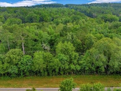 11030 Farm To Market 225, Nacogdoches, TX 75964 - photo 3