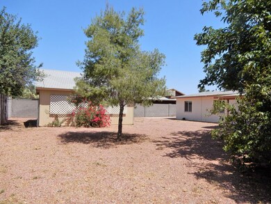023-587781 - Backyard 5